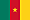 Cameroon Flag