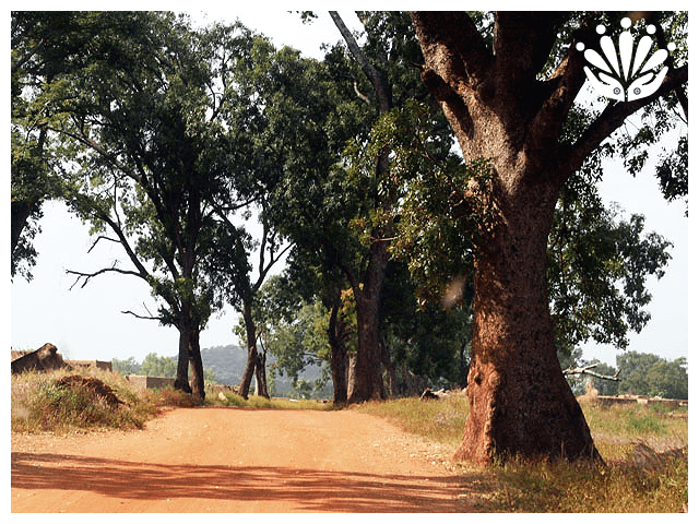 Gayther RM Country Guides - Burkina Faso