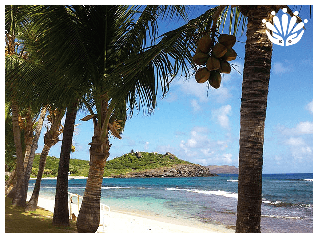 Gayther RM Country Guides - Saint Barthelemy (Barts)