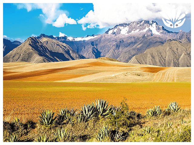 Gayther RM Country Guides - Bolivia