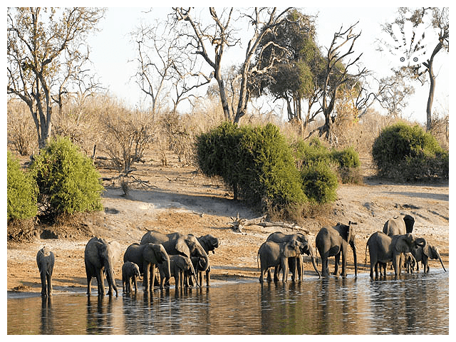 Gayther RM Country Guides - Botswana