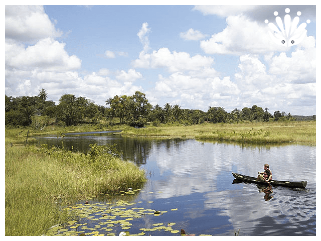 Gayther RM Country Guides - Guyana