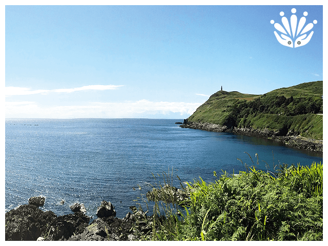 Gayther RM Country Guides - Isle of Man