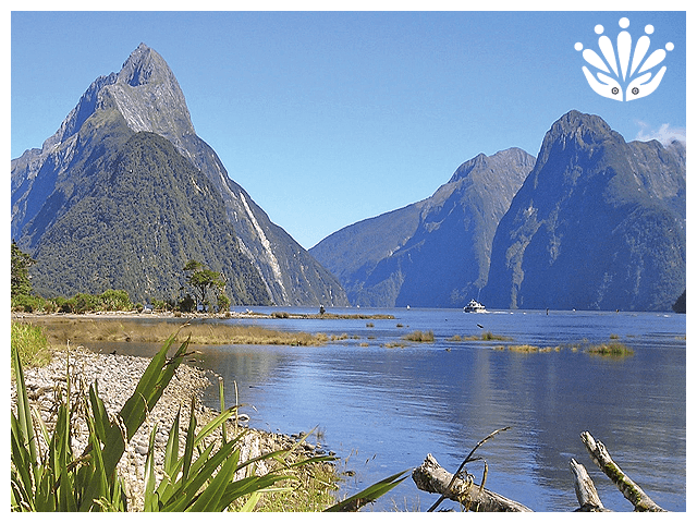 Gayther RM Country Guides - New Zealand