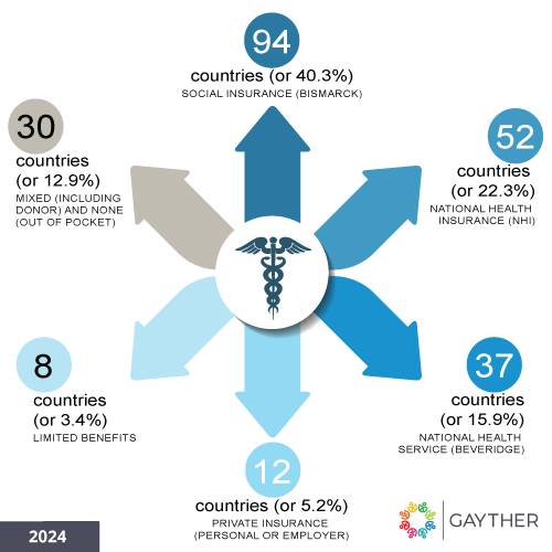 Gayther Healthcare - 2024 Overview