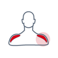 MDI Pain - Shoulder